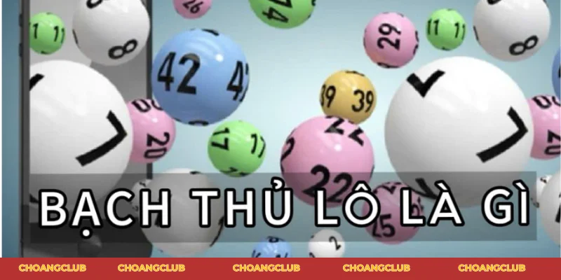 bạch thủ lô là gì