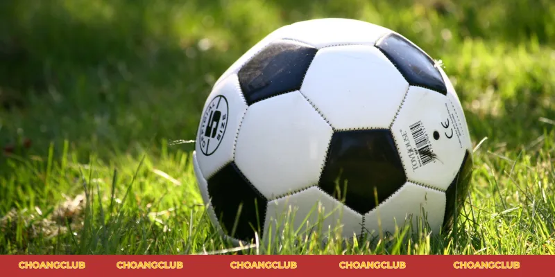tài xỉu 2-2.5 là gì