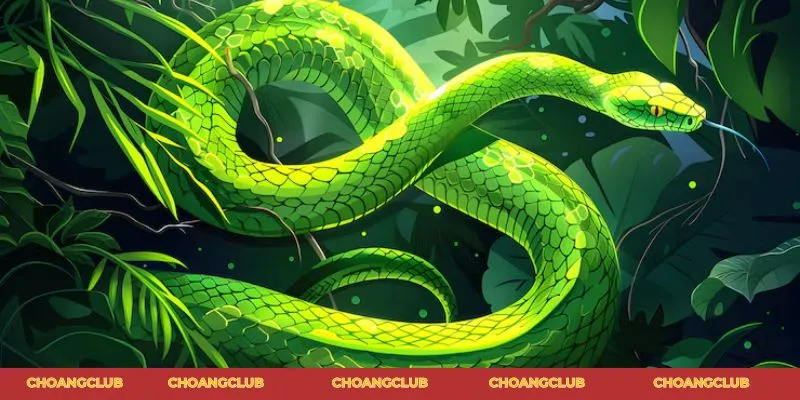Mơ thấy rắn