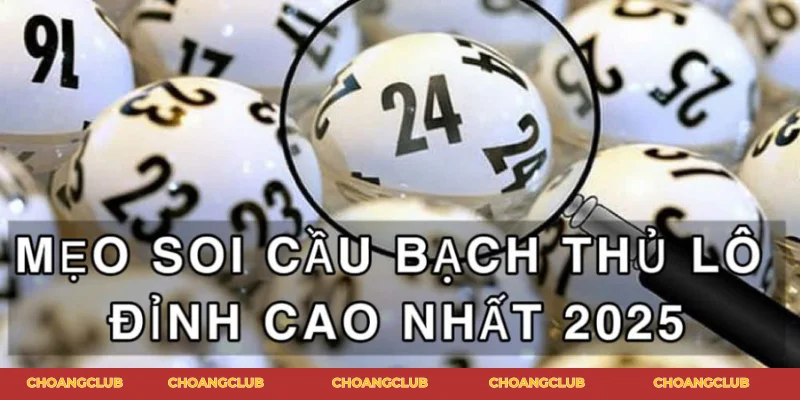 bạch thủ lô là gì